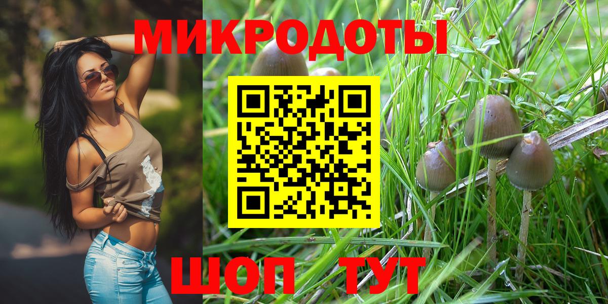 Псилоцибиновые грибы GOLDEN TEACHER Кизилюрт