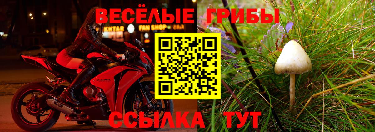 Псилоцибиновые грибы GOLDEN TEACHER  Галлюциногенные грибы мицелий  Кизилюрт  Вход с VPN 